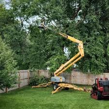 Best Stump Grinding and Removal  in Smithton, IL