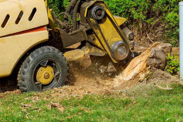 Best Firewood Processing and Delivery  in Smithton, IL